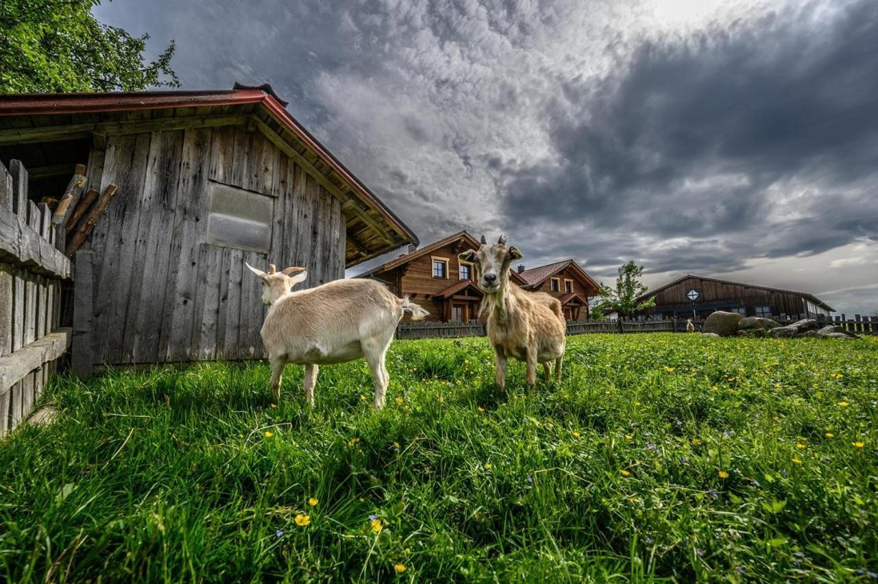 Wenzlhof Villa ซวีเซิล ภายนอก รูปภาพ